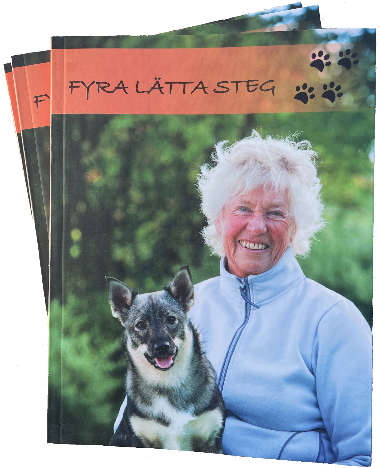 Fyra lätta steg